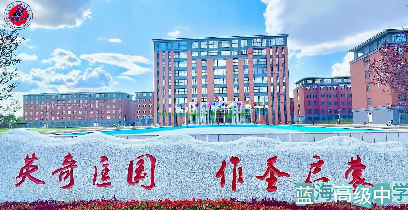 1741965023176670.jpg 3.jpg