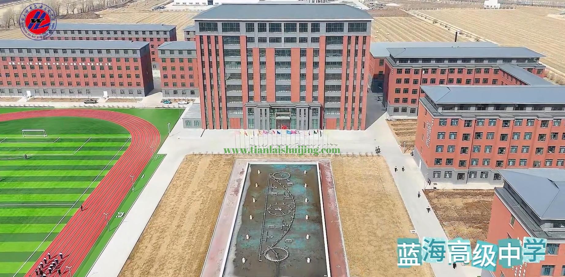 1741965265135623.jpg 2.jpg