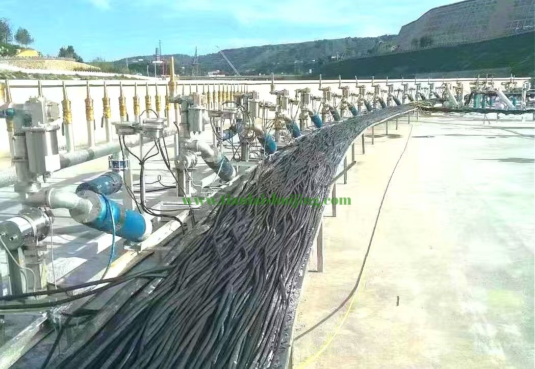 微信图片_20250619153221.jpg